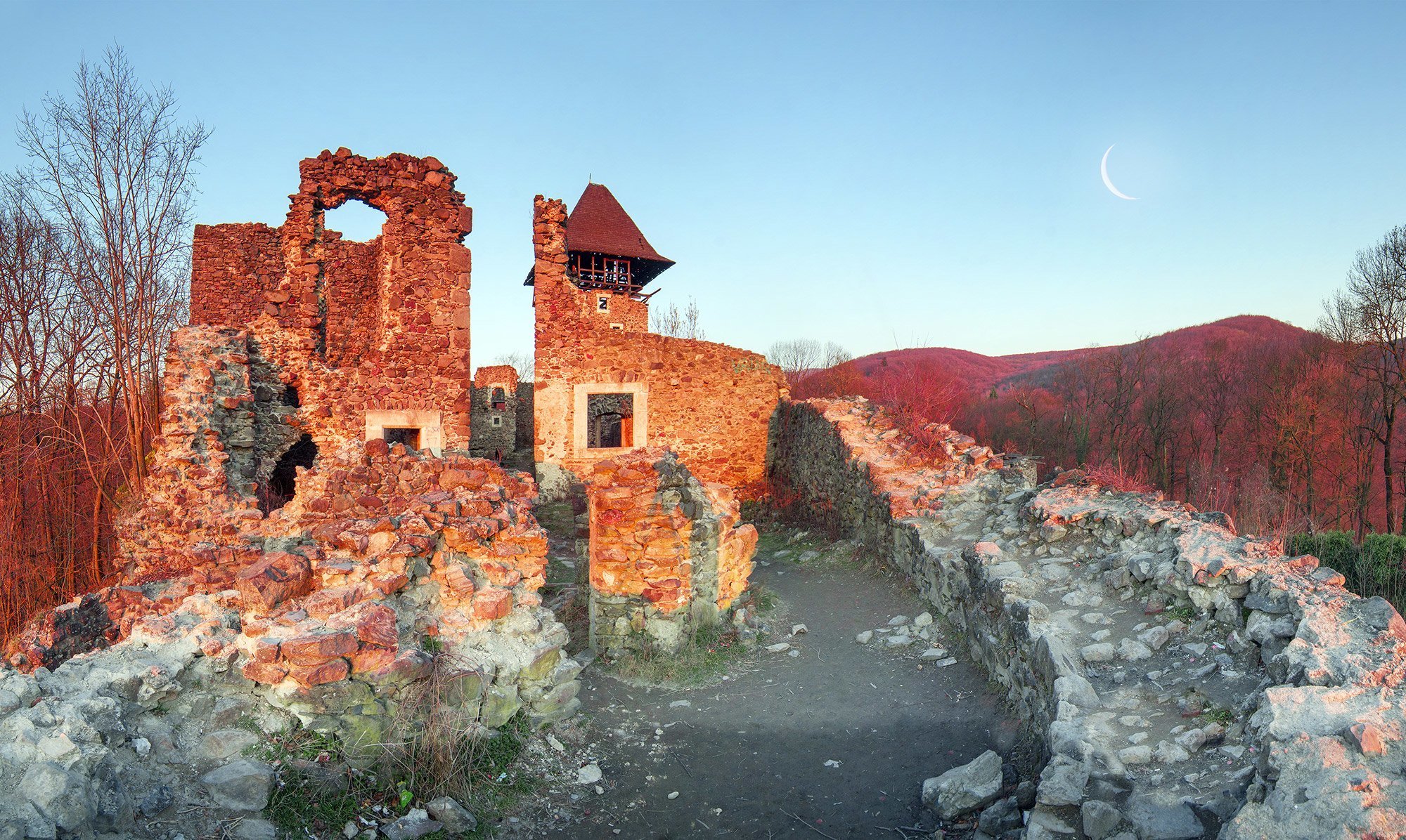 Невицький замок
