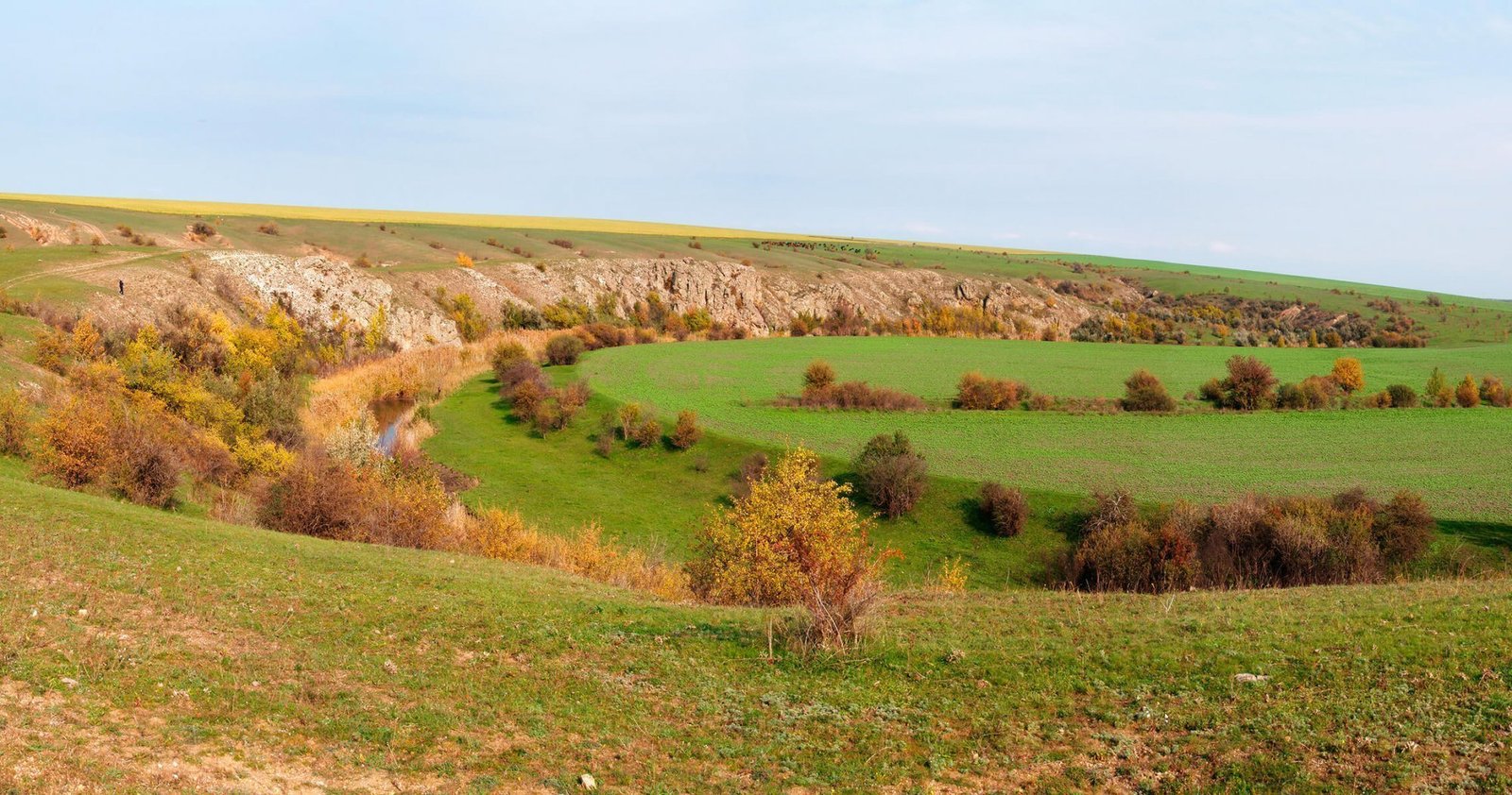 Приінгульський регіональний ландшафтний парк