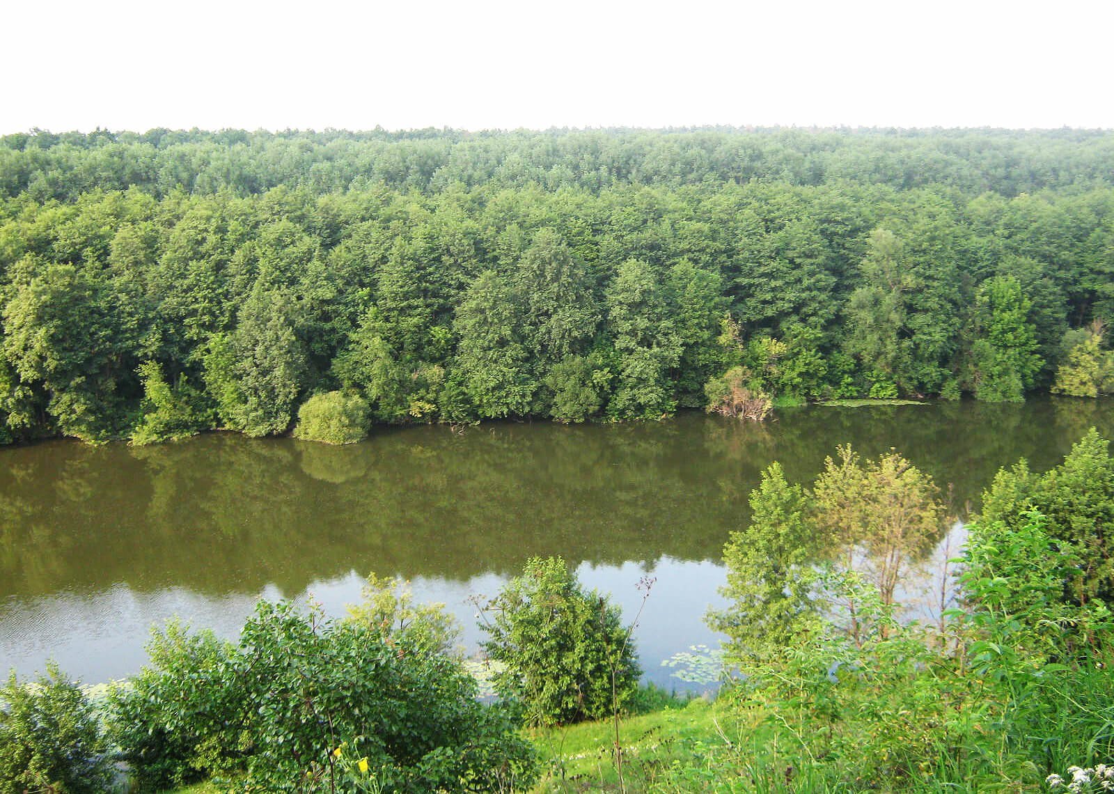 Ландшафтний заказник місцевого значення "Лучанське"