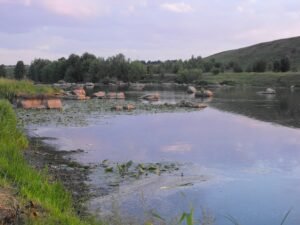 Ботанічний заказник місцевого значення "Закрута"