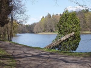 Дендрологічний парк Тростянець