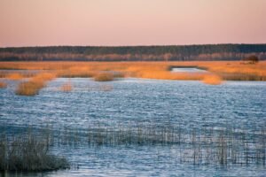 Природні об'єкти - «Національний природний парк «Залісся»