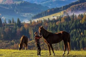 Природні об'єкти - «Черемоський національний природний парк»