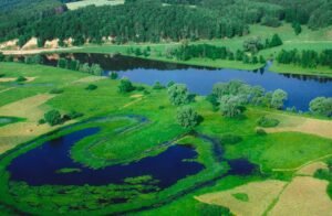 Природні об'єкти - «Деснянсько-Старогутський національний природний парк»