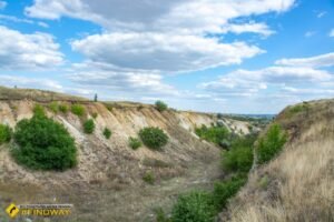 Природні об'єкти - «Дружківські скам'янілі дерева»