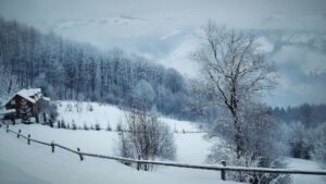 Лижі та сноуборд - «Гірськолижний курорт Рахів»