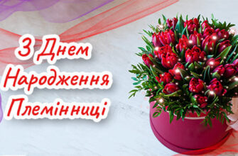 Привітання з Днем Народження Племінниці Привітання з Днем Народження Племінниці