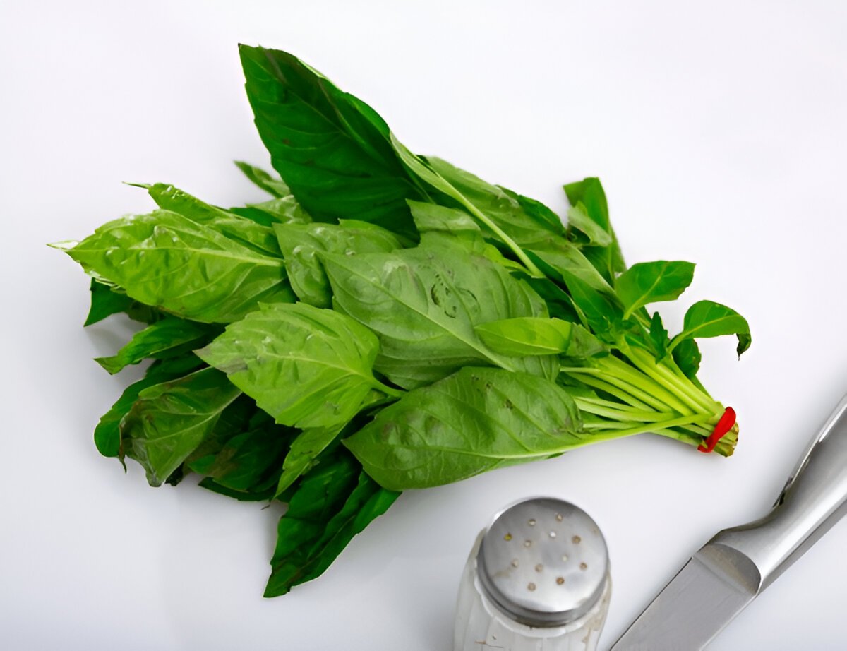 Чим корисний базилік