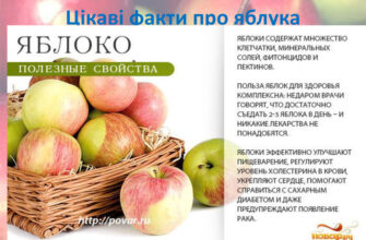 Цікаві факти про яблука: дізнайтеся більше про цей фрукт!