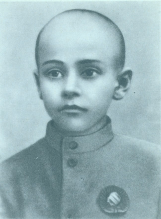 Павло Тичина на зборах