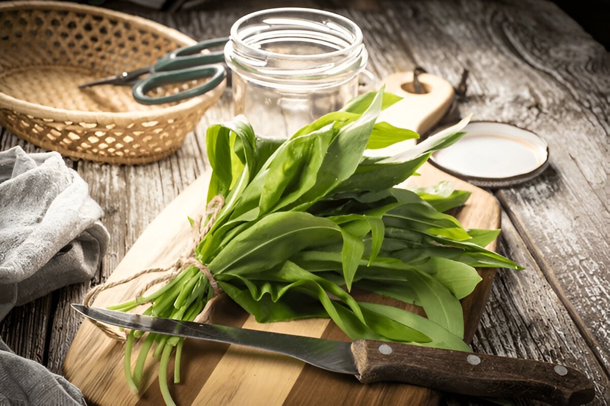 Чим корисна черемша: природний джерело здоров'я