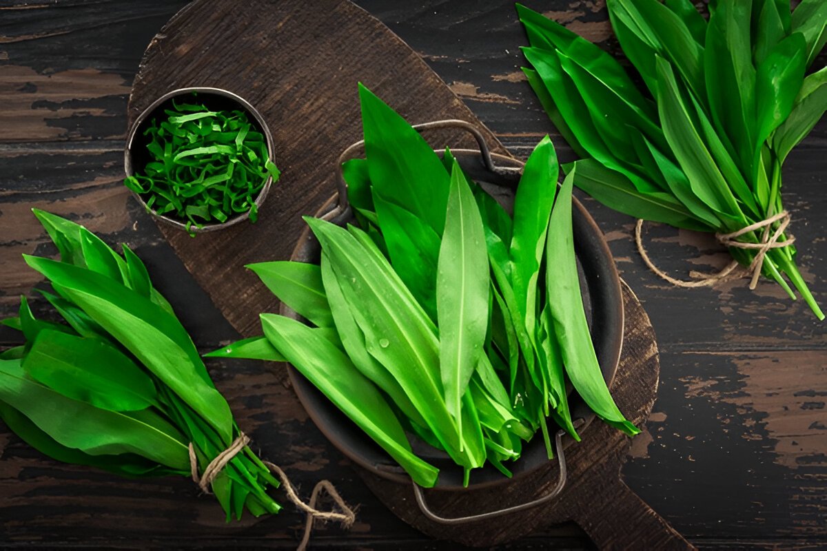 Чим корисна черемша: природний джерело здоров'я