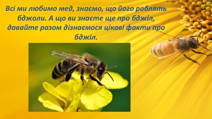 Захист бджіл