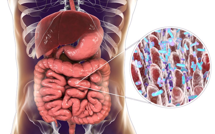Як лікувати кишечник в домашніх умовах: ефективні методи та поради