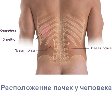 Чому болить спина внизу: основні причини та як їх усунути?