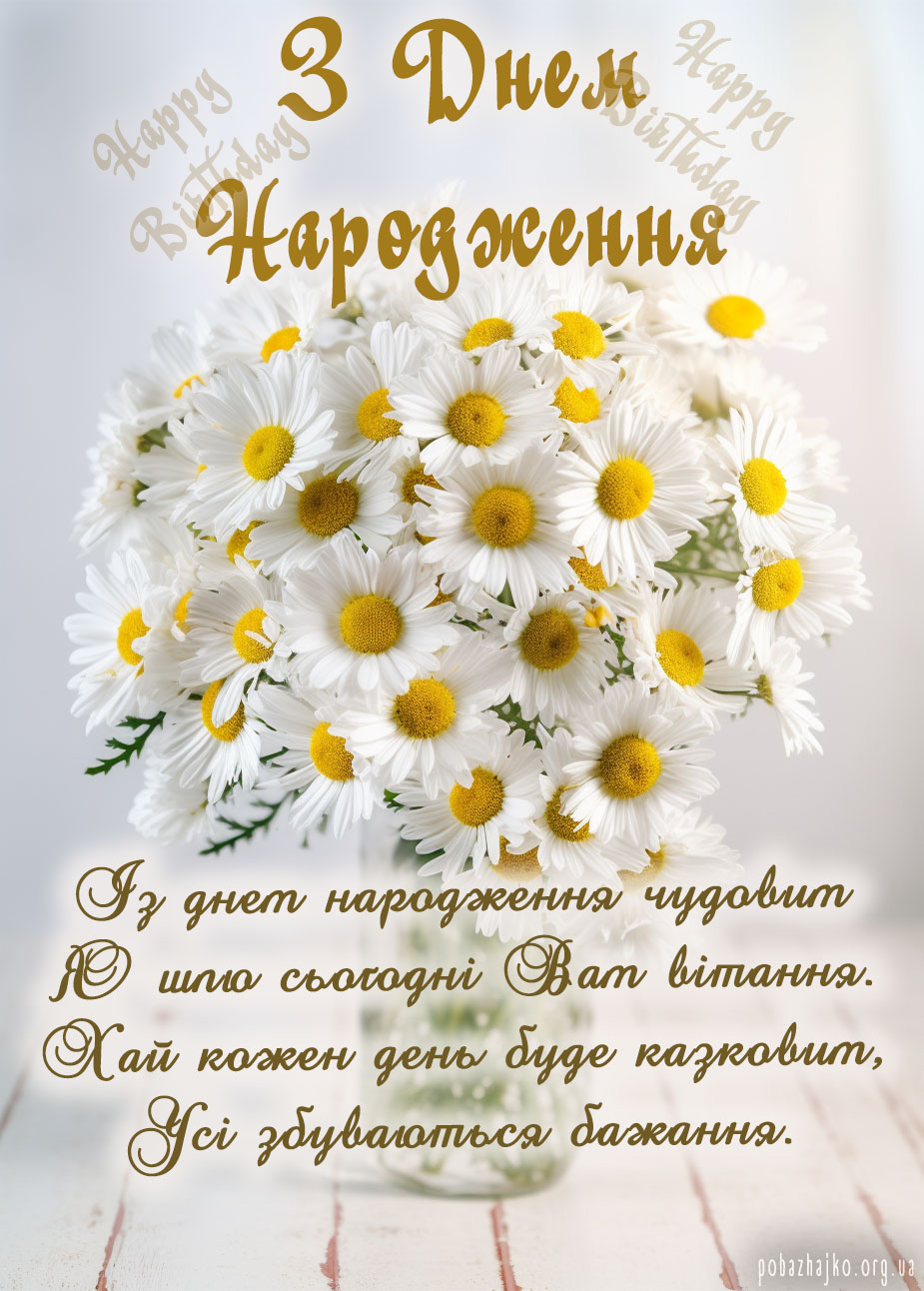 чудові ромашки, квіткова листівка з днем народження
