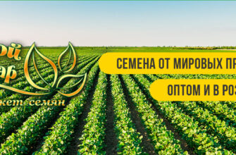 Где покупать агротовары без лишних сомнений: семена, питание, защита