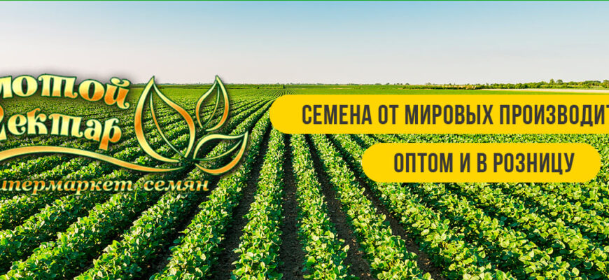 Где покупать агротовары без лишних сомнений: семена, питание, защита